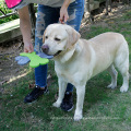 Forma del hueso de la naturaleza juguetes de felpa del frisbee del animal doméstico del perro para actividades al aire libre al por mayor Frisbee suave del perro